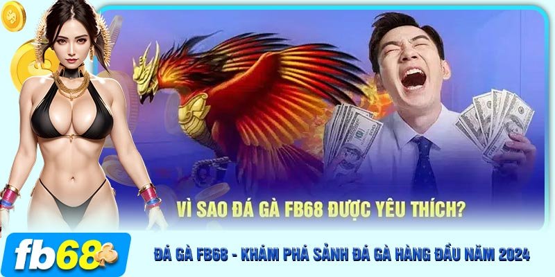 Những ưu điểm nổi bật hàng đầu của sảnh đá gà FB68