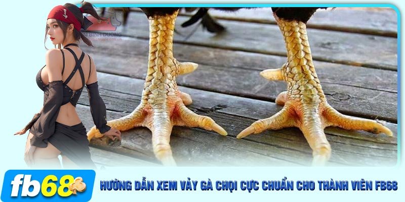 Xem vảy gà chọi cực dễ với vảy gạc thẩm