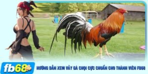 vảy gà chọi - ảnh đại diện